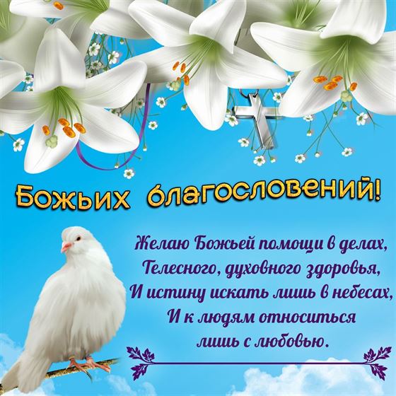 Отличная открытка с голубем и пожеланием