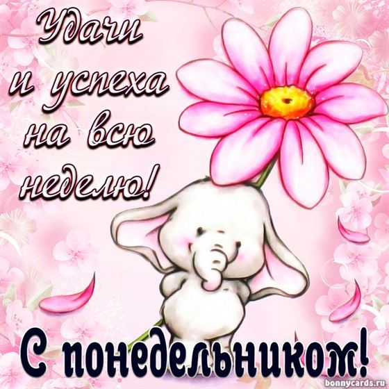 Милая открытка со слоником на понедельник