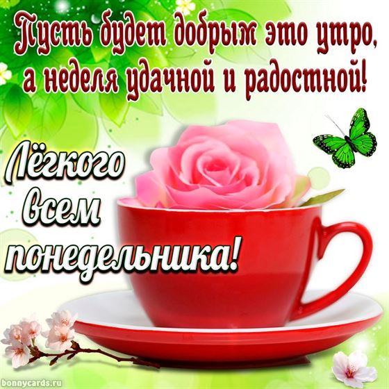 Оригинальная открытка с розой в чашке в понедельник