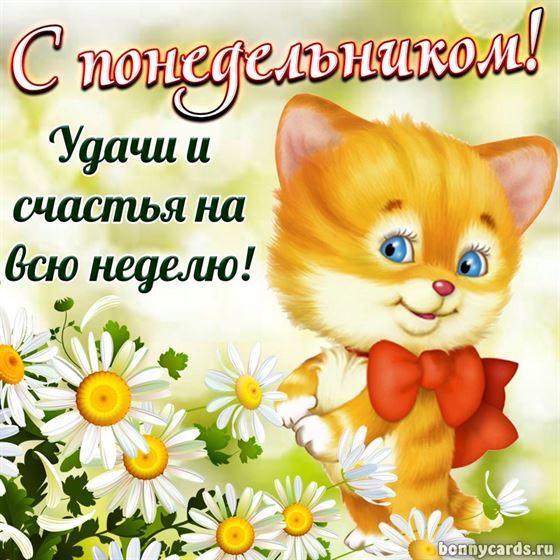 Милая открытка с котиком на понедельник