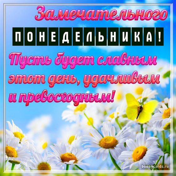 Красивая открытка на понедельник с ромашками