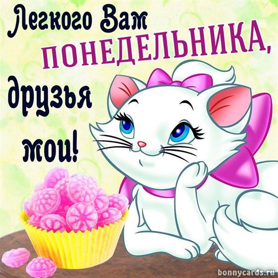 Милая открытка с кошкой на понедельник