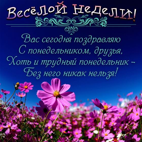 Креативная открытка с розовыми цветами на понедельник