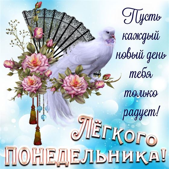 Чудесная открытка на понедельник с голубем