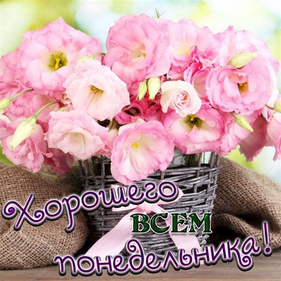 Открытка с розовыми цветами в понедельник