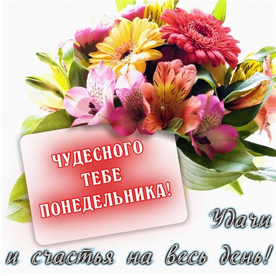 Картинка на понедельник с букетом цветов