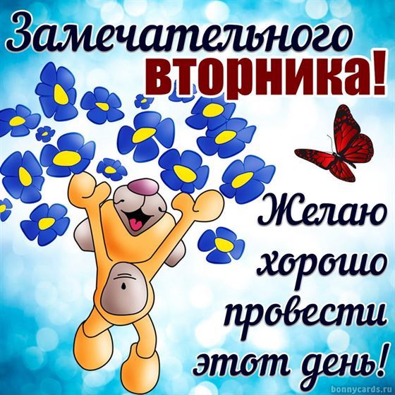 Красивая открытка с мишкой и цветами на вторник