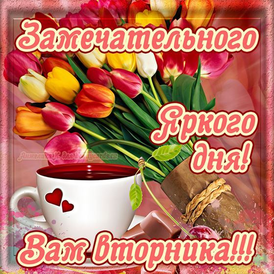 Трогательная открытка на вторник с тюльпанами