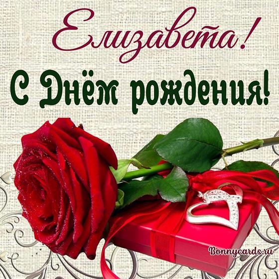 Открытка с Днём рождения Елизавете с подарком и розой