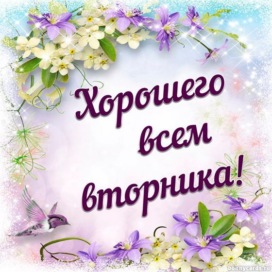 Красивая открытка на вторник в цветочной рамке