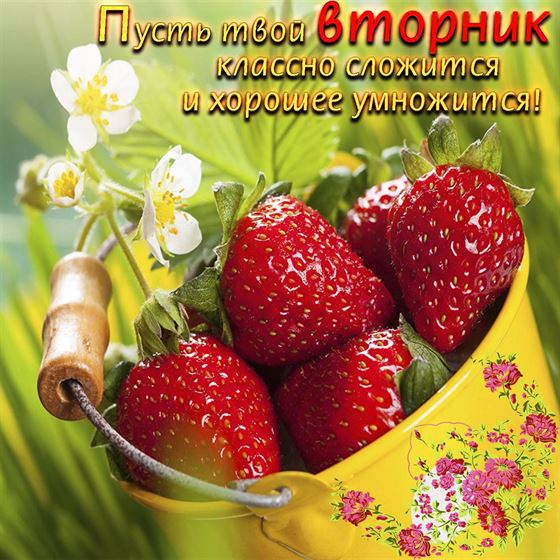 Вкусная клубника во вторник