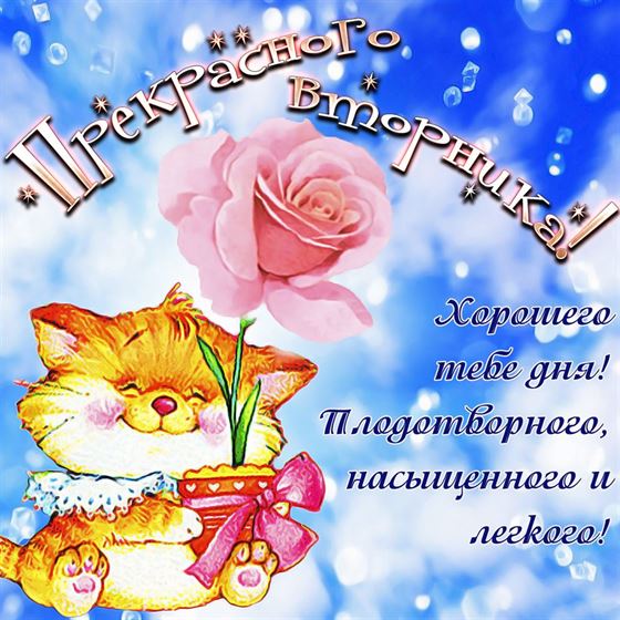 Открытка с веселым котом во вторник