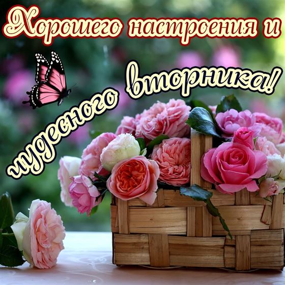 Картинка с корзиной роз на вторник