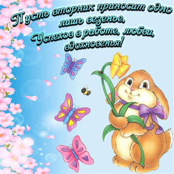 Забавная открытка с зайцем на вторник