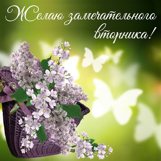 Открытка на вторник с сиреневыми цветами
