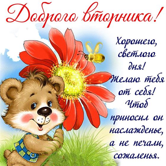 Мишка желает доброго вторника