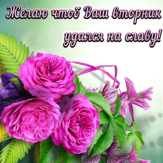 Желаю, чтобы вторник удался на славу