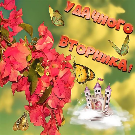 Креативная открытка с бабочкой на цветке во вторник