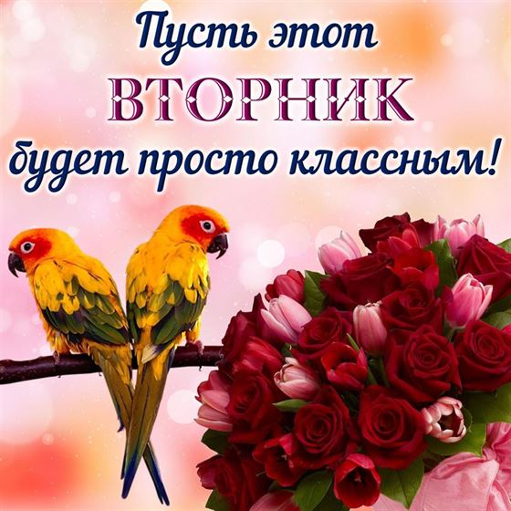 Пусть этот вторник будет просто классным