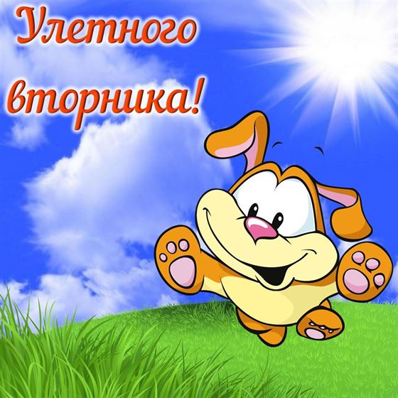 Прикольная картинка с собачкой на вторник