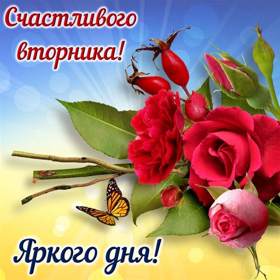 Картинка на вторник с розами и бабочкой