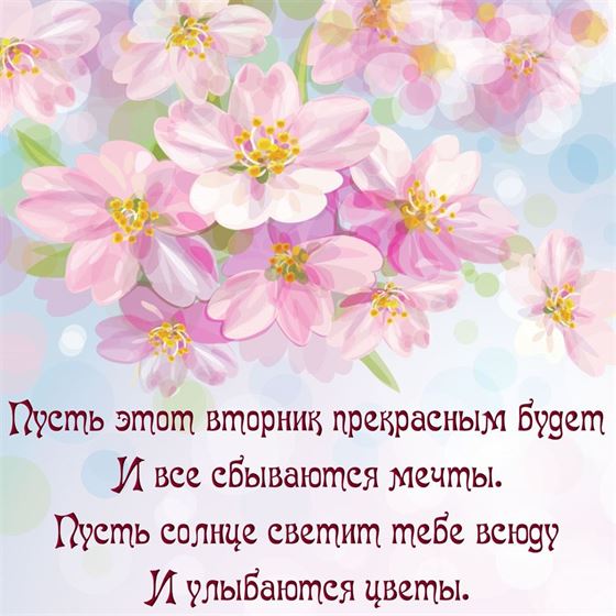 Милая открытка с розовыми цветами на вторник