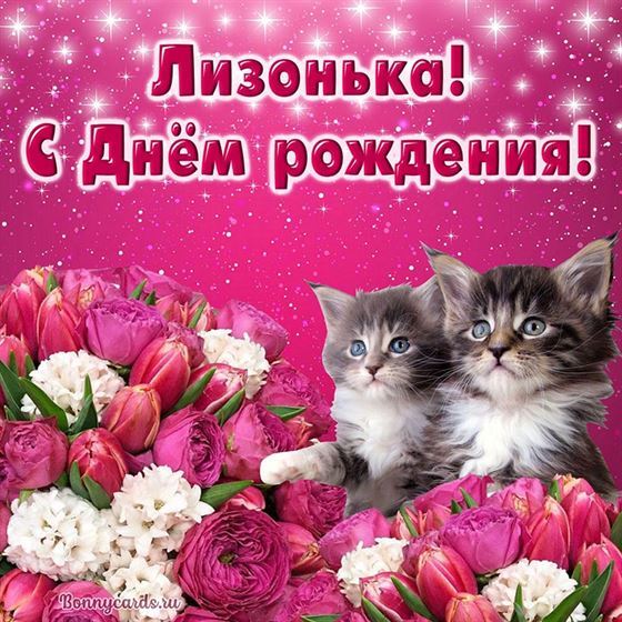 Котята в тюльпанах поздравляют Лизу с Днем рождения