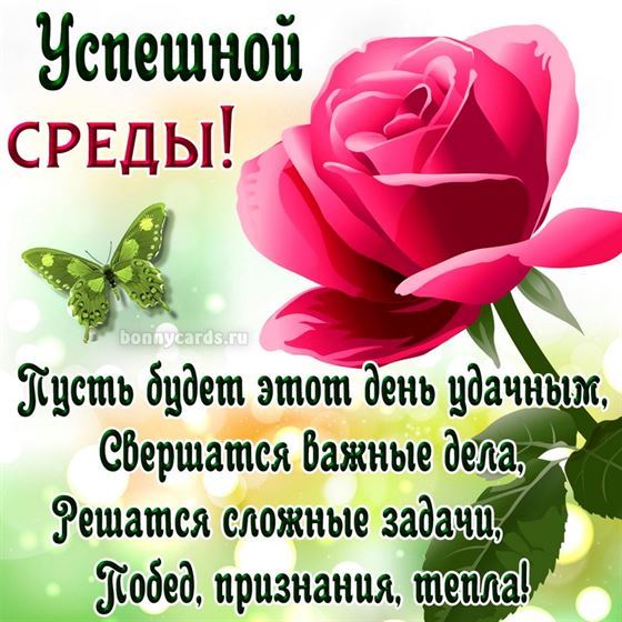 Пожелание успешной среды с розой