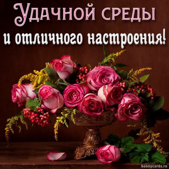 Удачной среды и отличного настроения