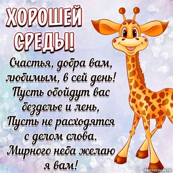 Прикольная открытка на среду с жирафом