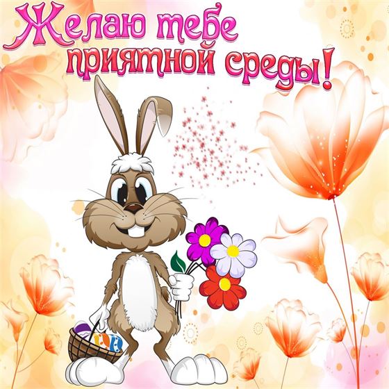 Забавная картинка на среду с зайцем