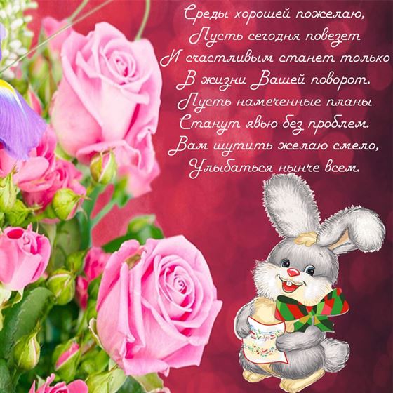 Красивая открытка с розами и зайцем на среду