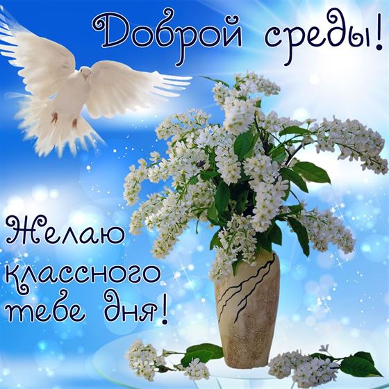 Картинка с голубем и цветами на среду