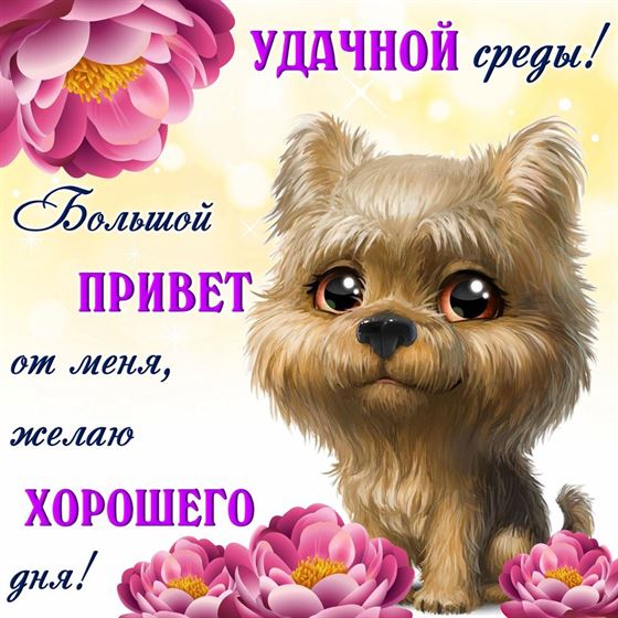 Креативная открытка с собачкой на среду