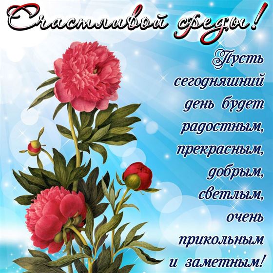 Оригинальная картинка с цветком на голубом фоне на среду