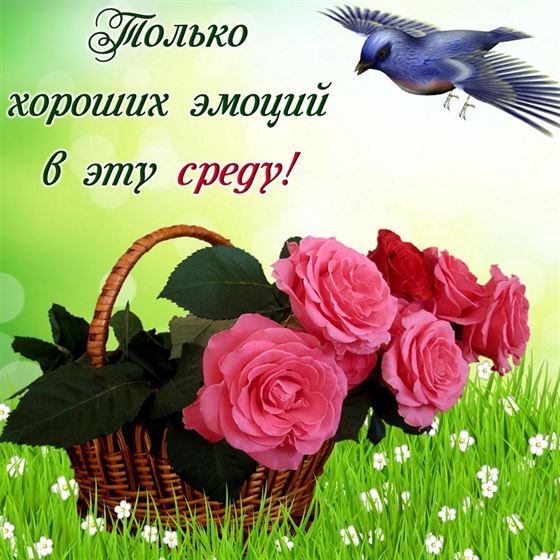 Только хороших эмоций в эту среду