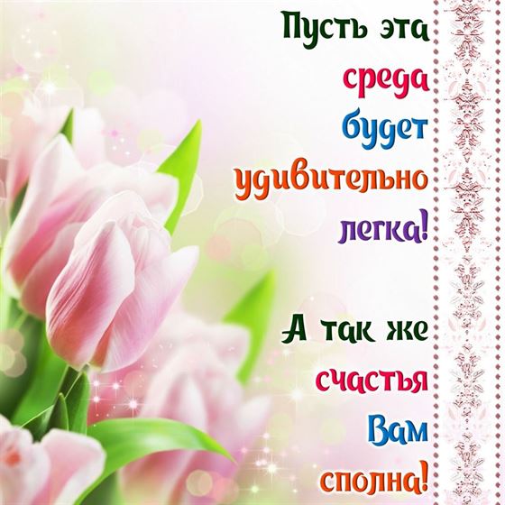 Пожелание в среду на фоне тюльпанов