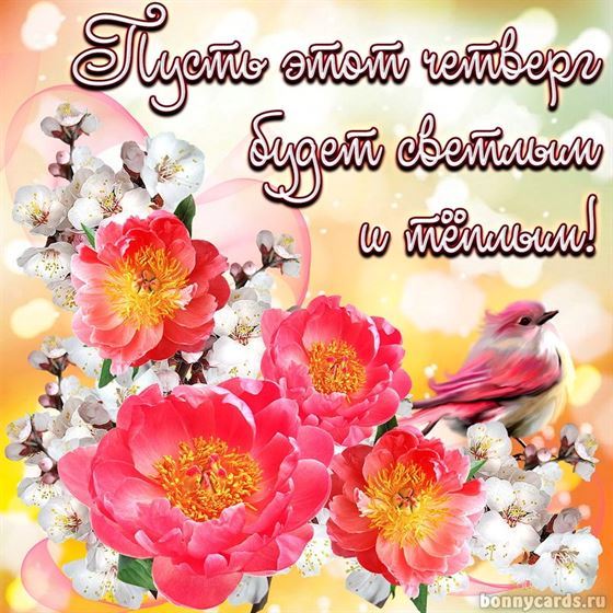 Пусть этот четверг будет светлым и теплым