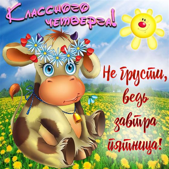 Забавная открытка с коровой на четверг