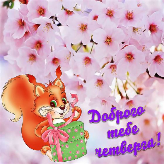 Трогательная картинка с цветами и белкой на четверг