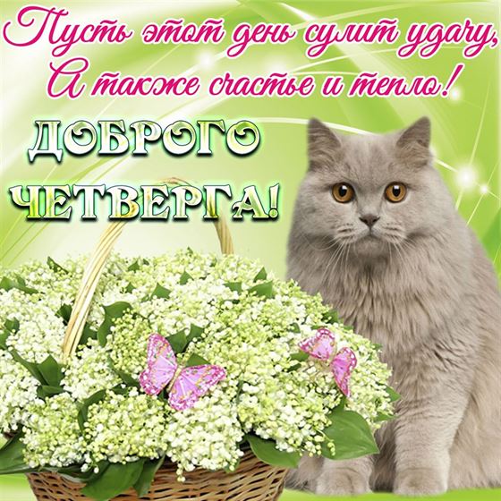 Пусть этот день сулит удачу