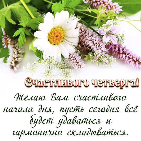 Оригинальная открытка на четверг с полевыми цветами