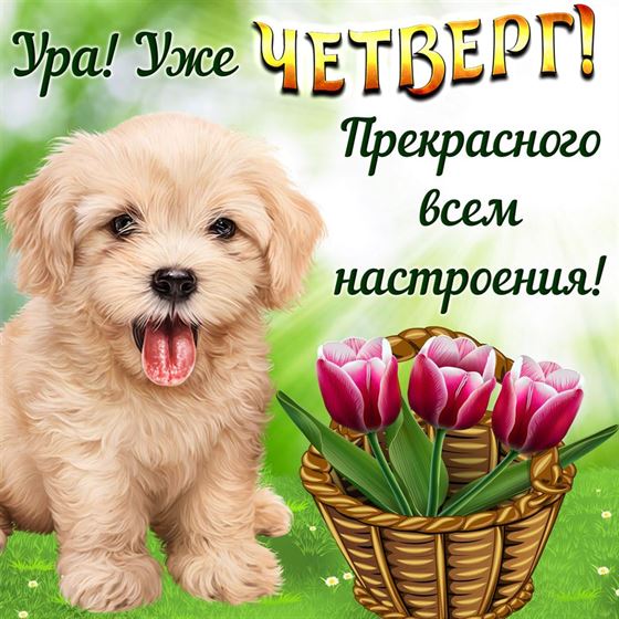 Милая открытка на четверг с щенком