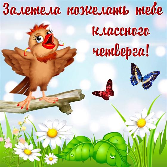 Прикольная открытка с поющей птичкой на четверг