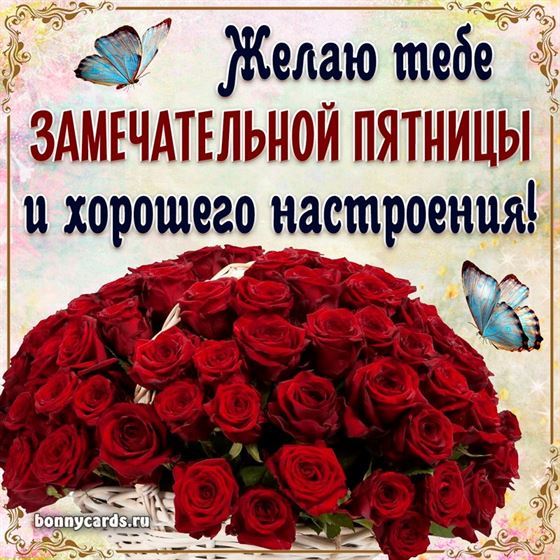 Желаю замечательной пятницы на фоне букет роз