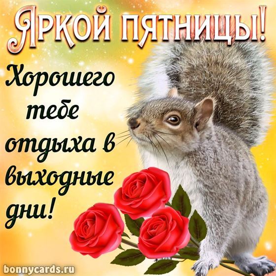 Картинка на пятницу с белкой