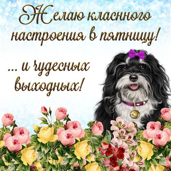 Собачка желает прекрасного настроения в пятницу