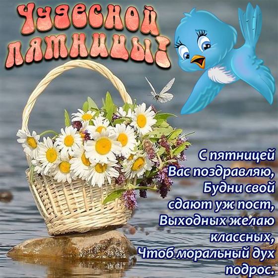 Красивая открытка на пятницу с корзиной цветов и птичкой