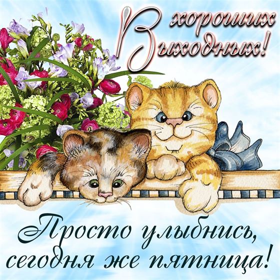 Милая открытка с нарисованными котами на пятницу