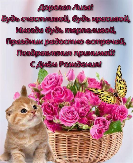 Котик с розами поздравляет с Днем рождения Лизе